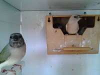 /album/galeria-de-fotos/a2012-09-29-18-19-55-jpg/